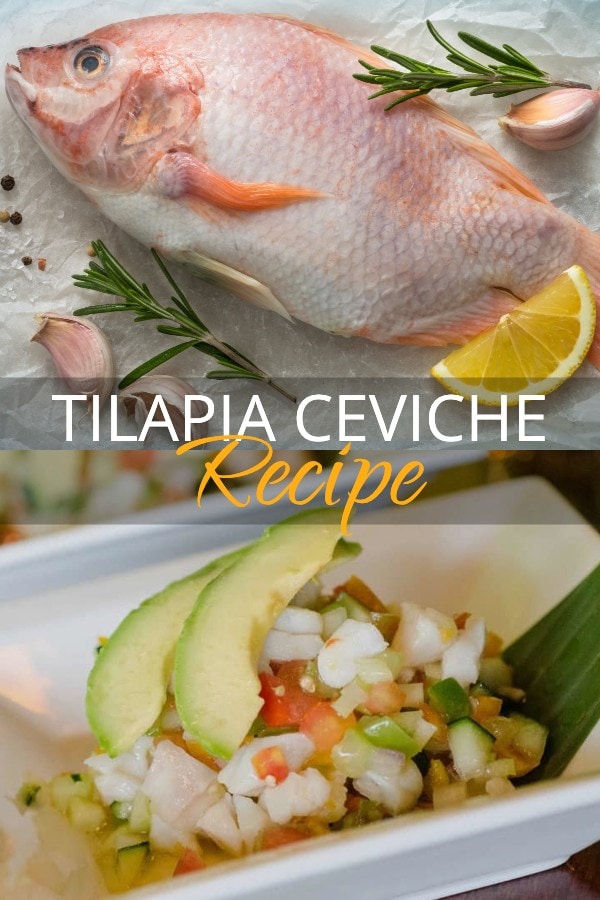 tilapia ceviche recipe