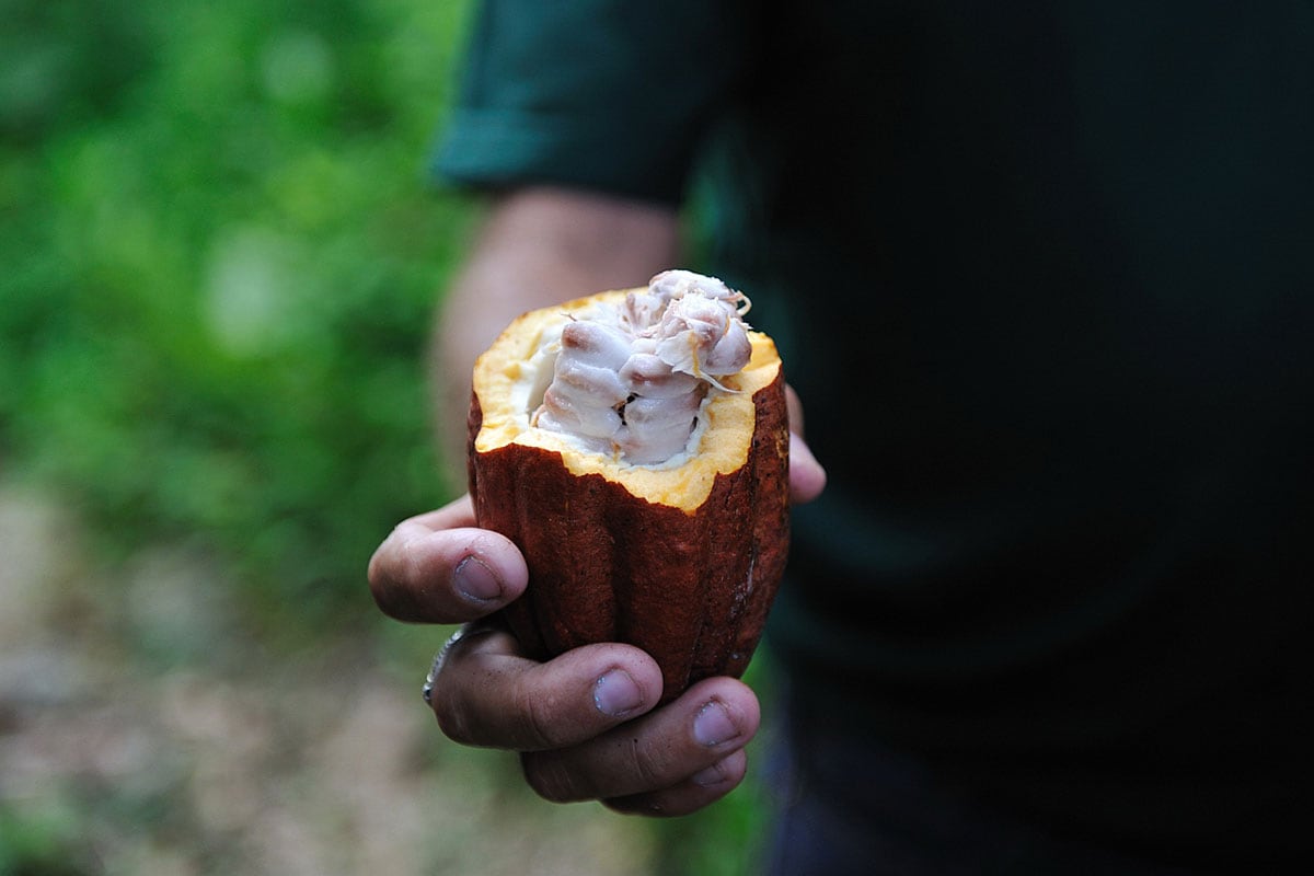 Peruvian Superfoods