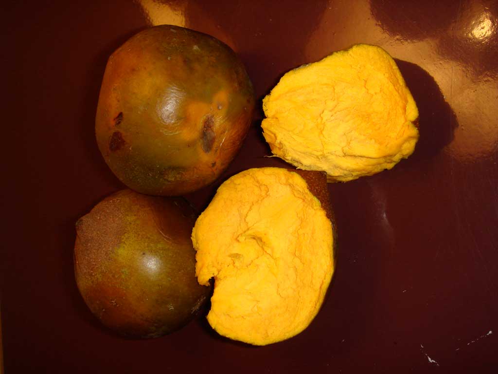 lucuma superfood from Peru