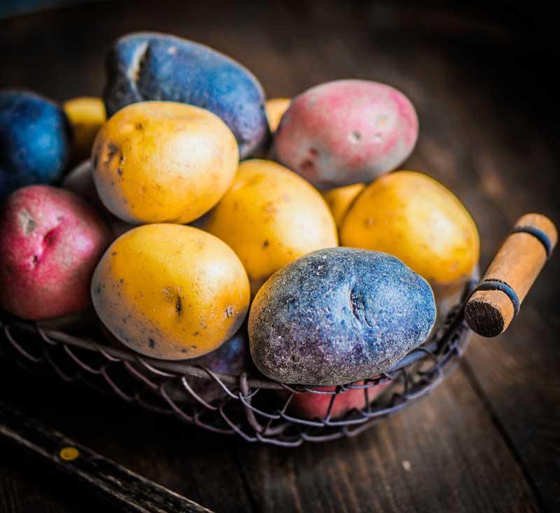 Red Blue and Purple Peruvian Potatoes