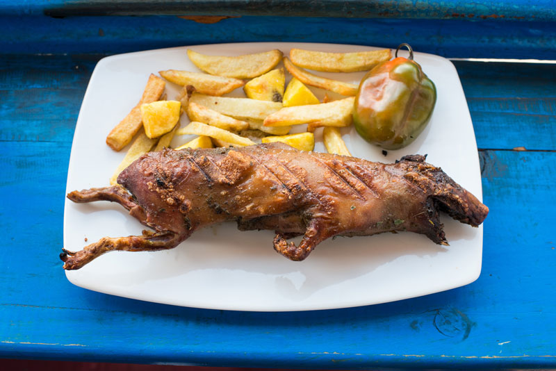 grilled guinea pig dish in the peruvian Andes at Cuzco Peru