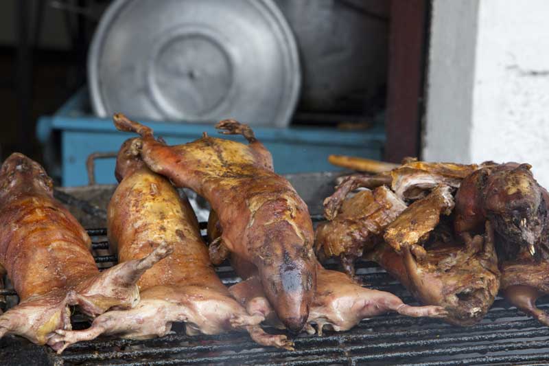 Cooking guinea pigs on a BBQ in Peru