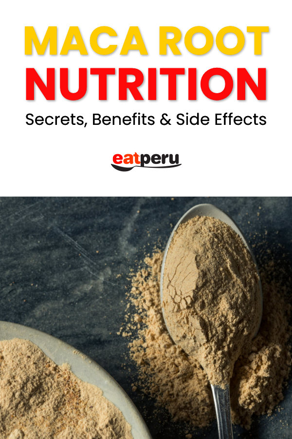 maca root nutrition benefits and side effects
