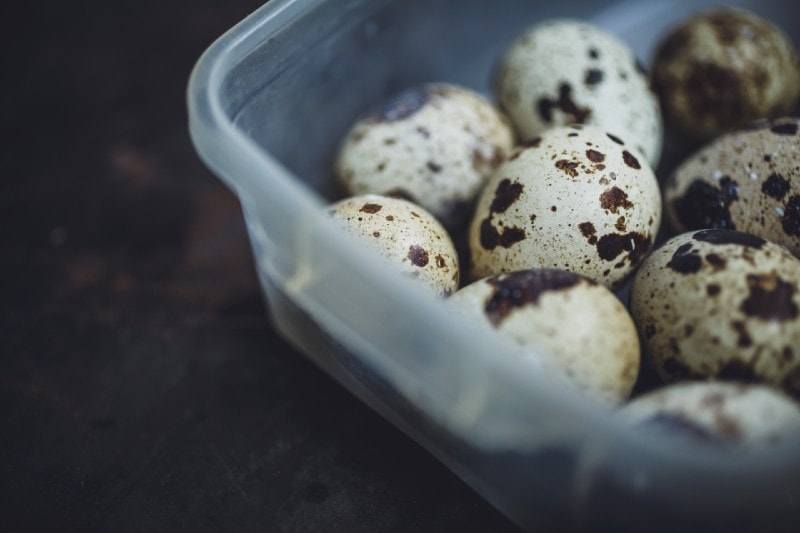 quail eggs in a box