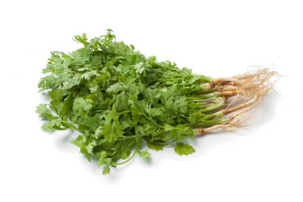 Peruvian Herbs: Food, Medicine and Culture all in One - Eat Peru