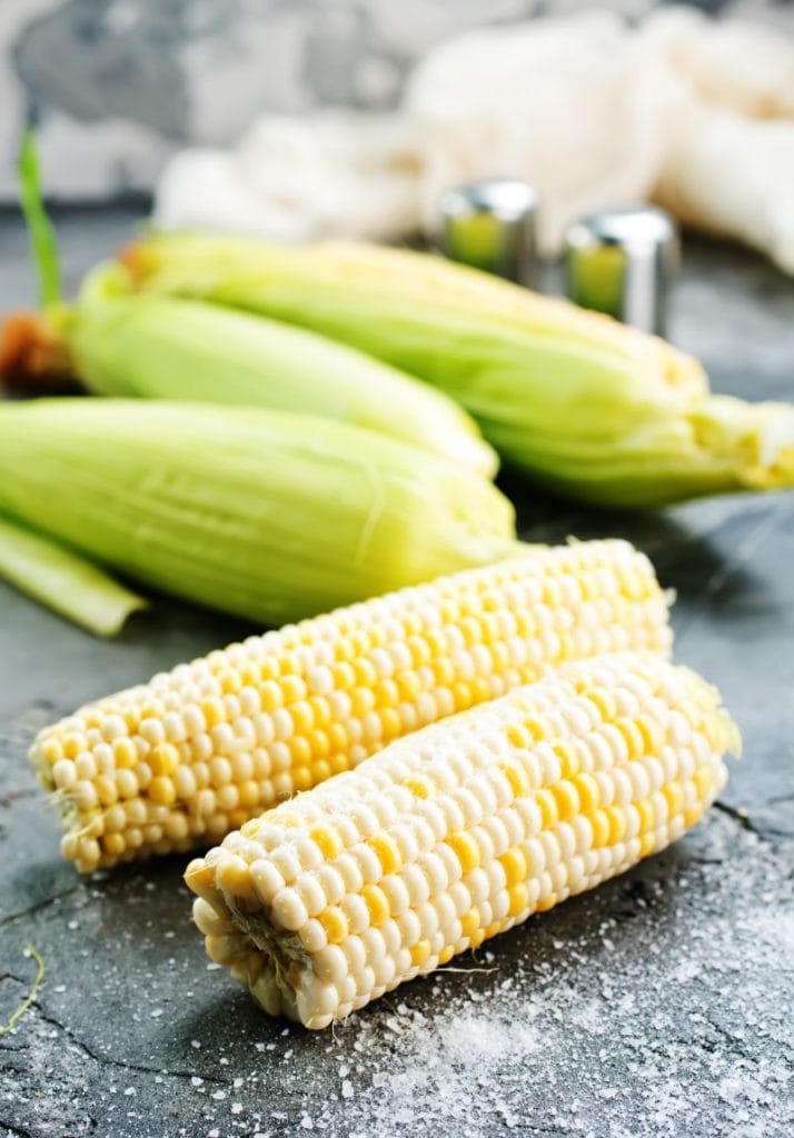 corn choclo ancient food of the inca