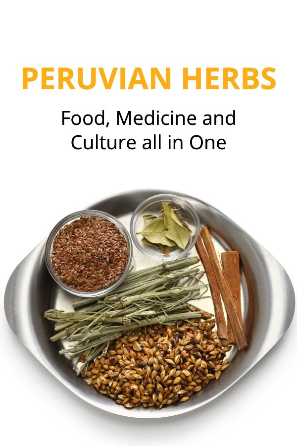 Peruvian herbs: food medicine and culture