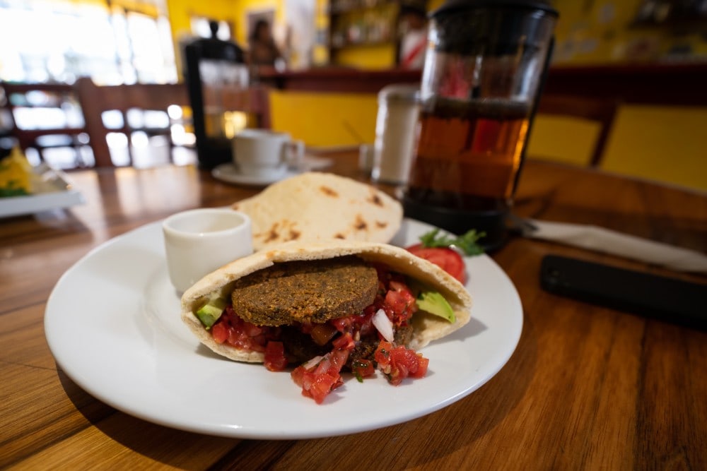 vegetarian falafel and avocado