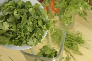 blend cilantro to make paste