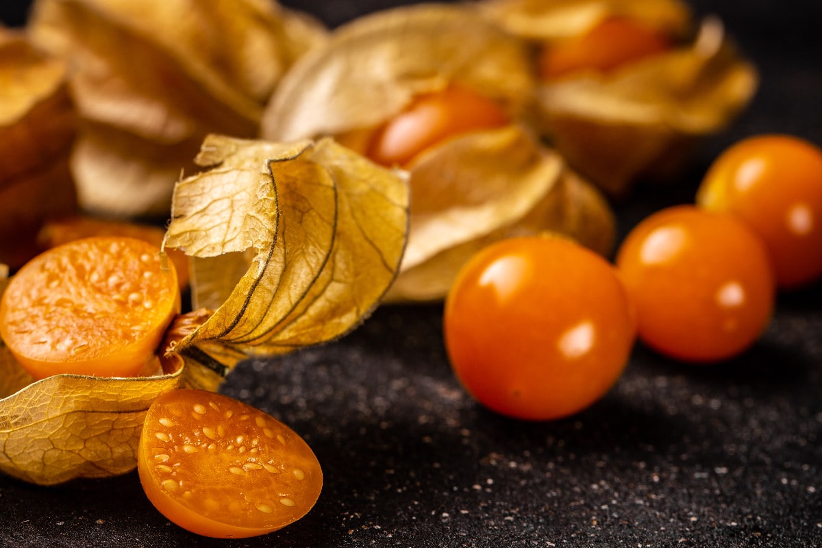 Inca berry goldenberry or Cape Gooseberry from peru