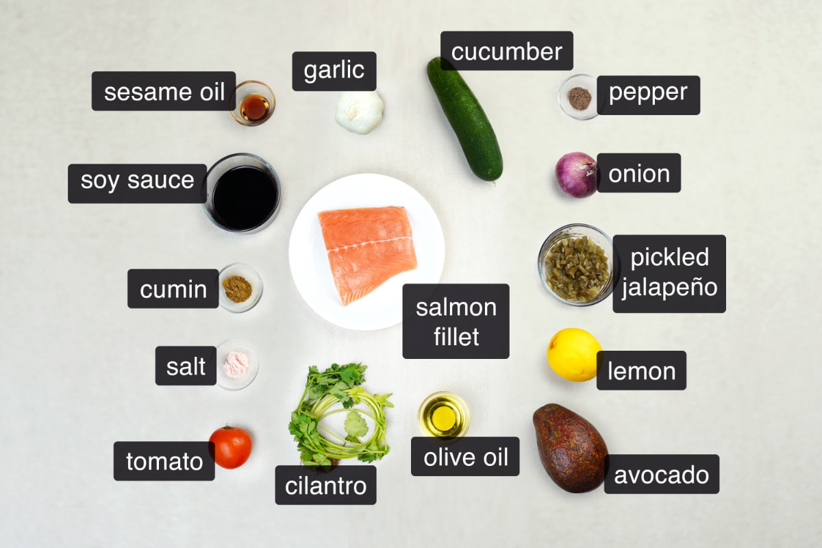 ingredients for peruvian salmon ceviche recipe